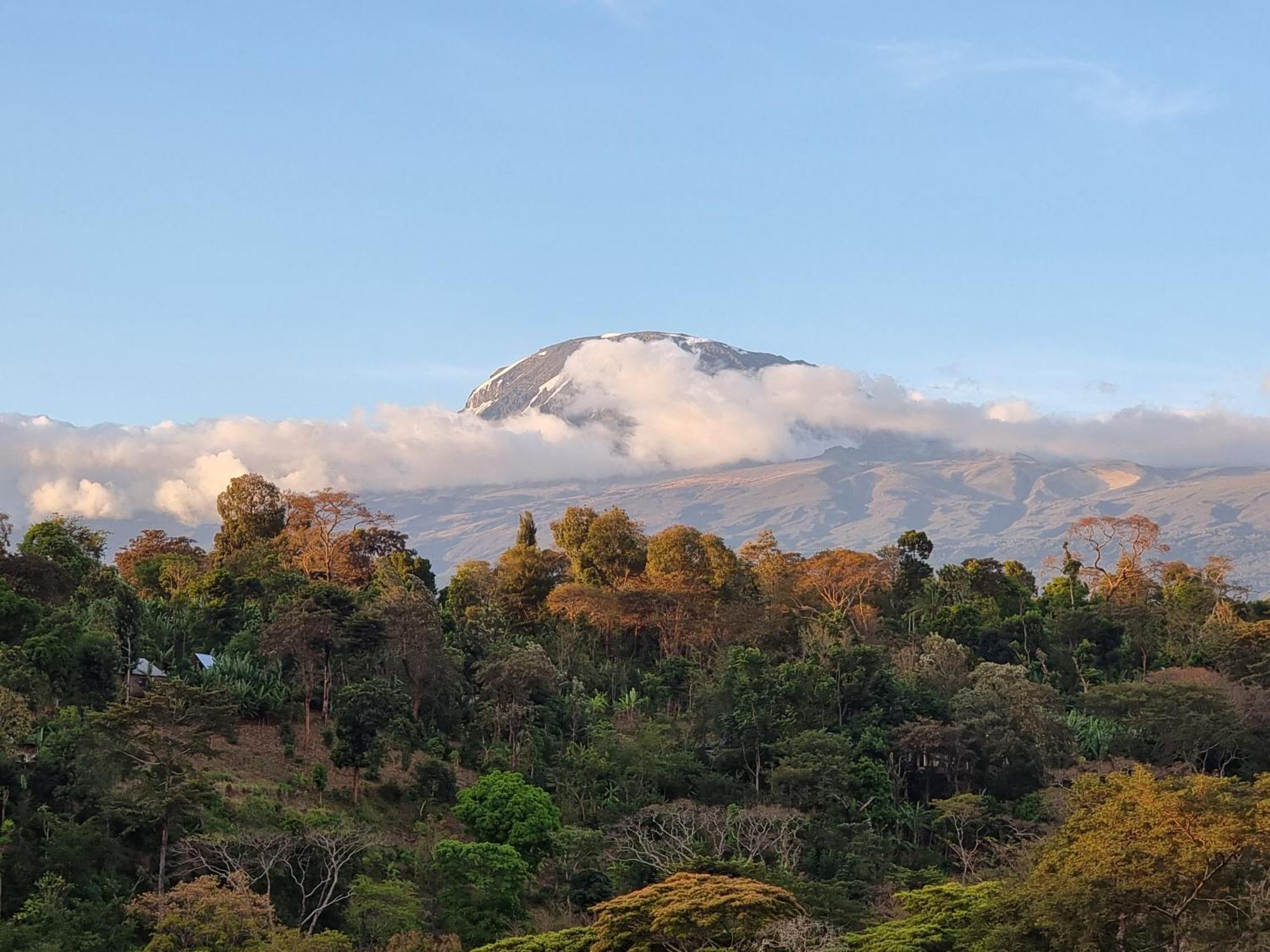 Kisanga Homestay 莫希 外观 照片